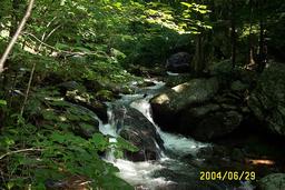 Family Vacation 2004