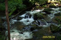 Family Vacation 2004