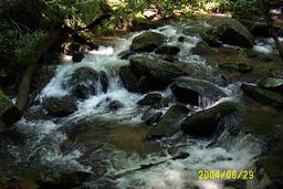 Family Vacation 2004
